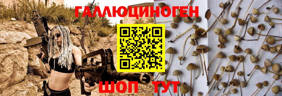 Донецк  Галлюциногенные грибы ЛСД  Вход с VPN 