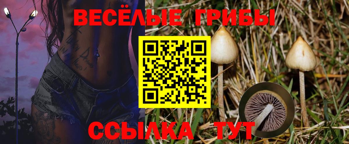 Псилоцибиновые грибы мухоморы Донецк